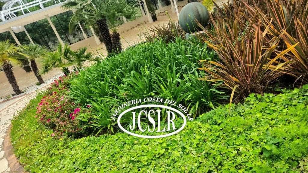 Nuestros senderos se visten de gala con su variedad de formas y colores a su paso.
Our trails are decked out in their finest with their variety of shapes and colours along the way. #jardineriacostadelsol