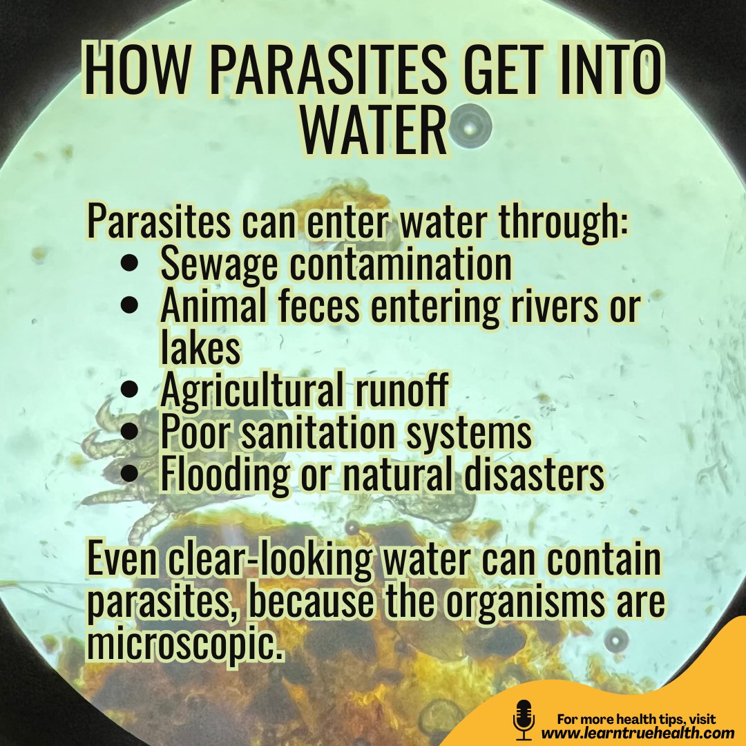 LearnTrueHealth's tweet image. Clear water doesn’t always mean clean water. #Parasites can enter water through sewage, animal waste, flooding, and runoff—and many are microscopic.
Prevention: drink filtered/boiled water, wash produce well, avoid swallowing pool or lake water.