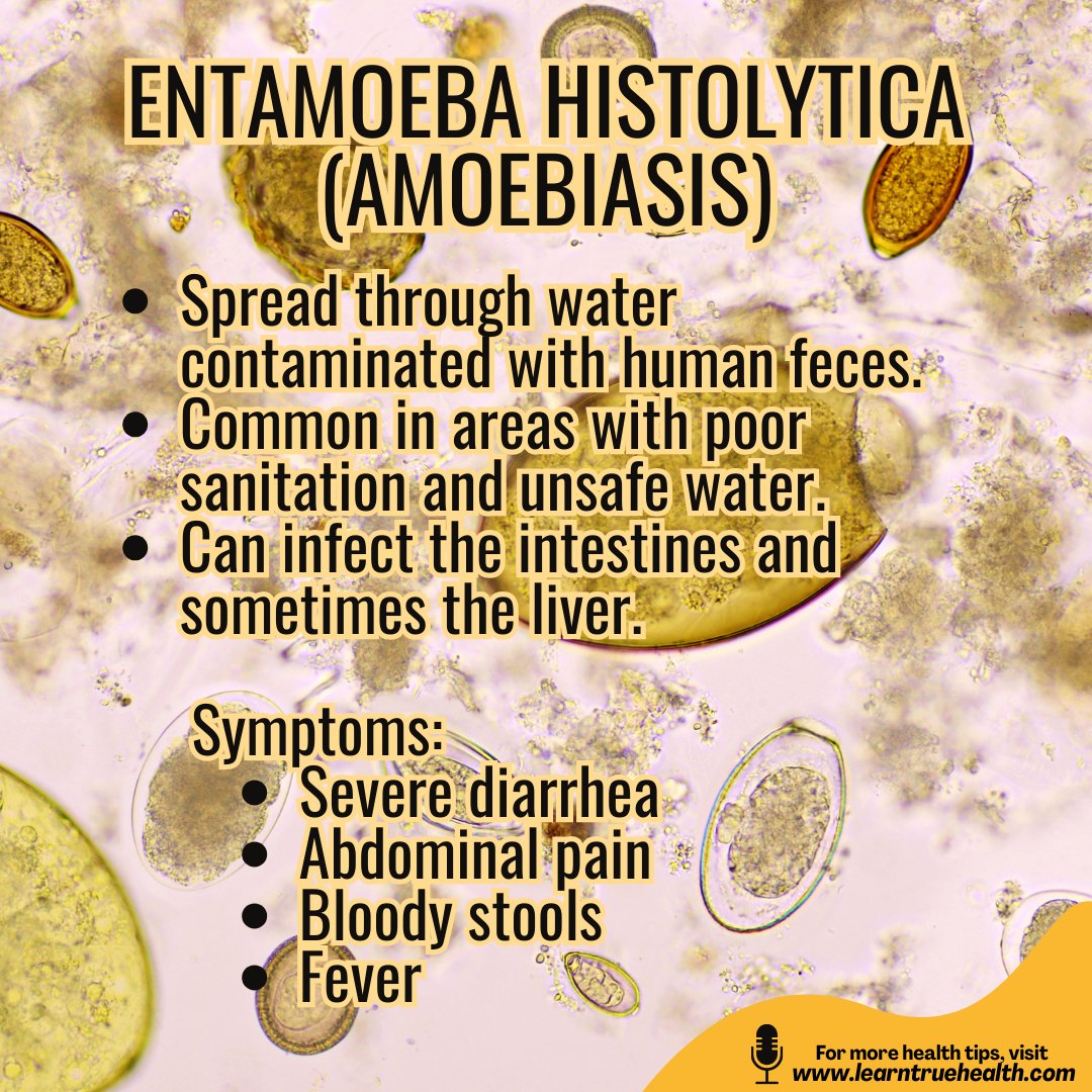 LearnTrueHealth's tweet image. Clear water doesn’t always mean clean water. #Parasites can enter water through sewage, animal waste, flooding, and runoff—and many are microscopic.
Prevention: drink filtered/boiled water, wash produce well, avoid swallowing pool or lake water.