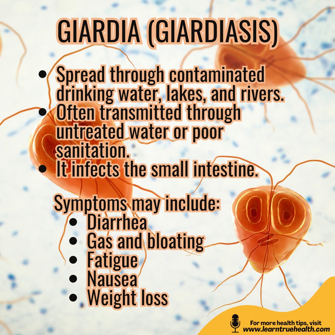 LearnTrueHealth's tweet image. Clear water doesn’t always mean clean water. #Parasites can enter water through sewage, animal waste, flooding, and runoff—and many are microscopic.
Prevention: drink filtered/boiled water, wash produce well, avoid swallowing pool or lake water.