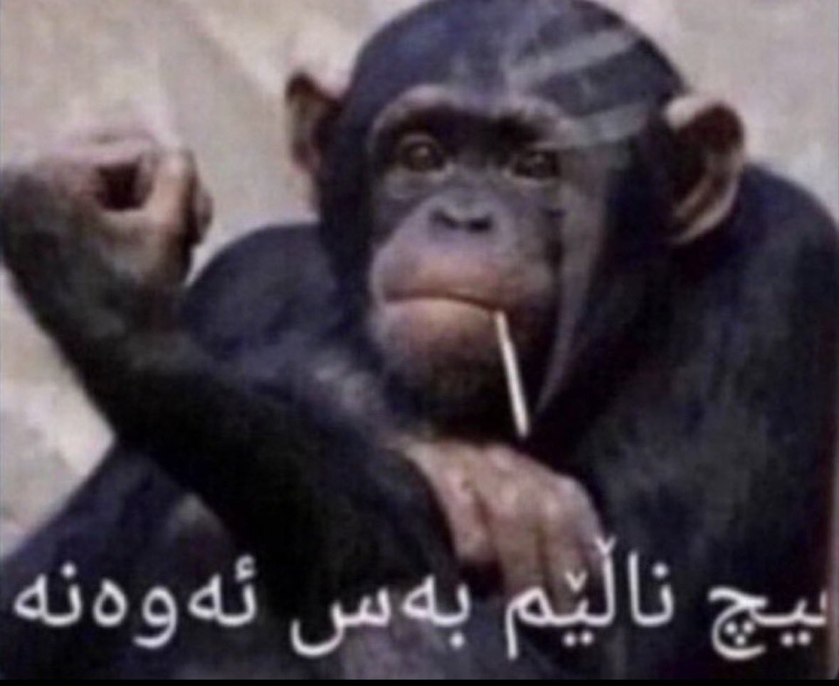 . tweet media