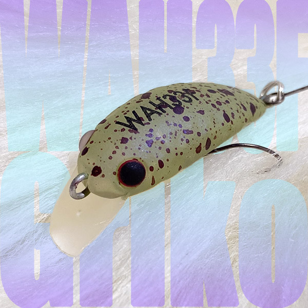 アカサカ釣具 (@fishing_akasaka) / Posts / X