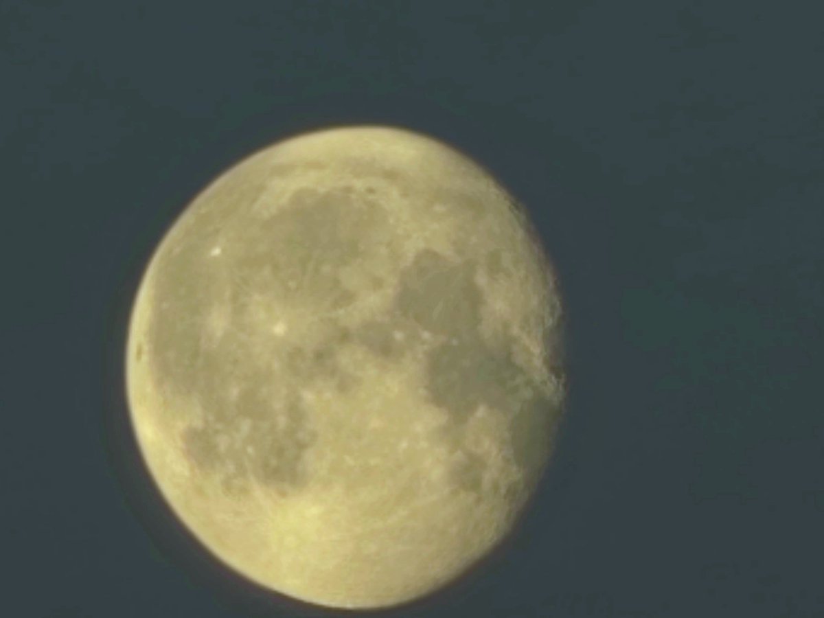 Šišatý pátek přejeme