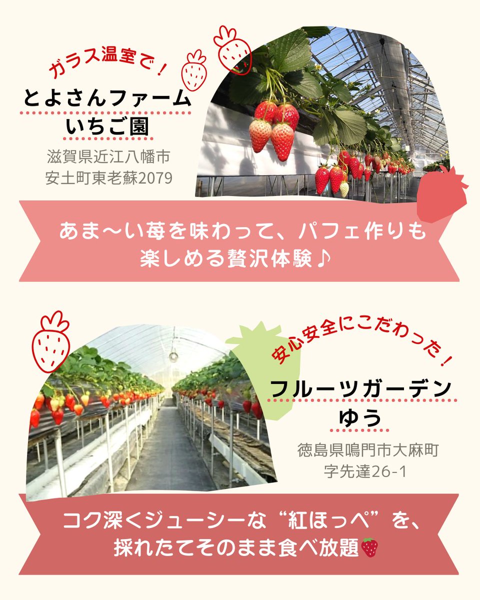 EPARK【公式】 tweet media