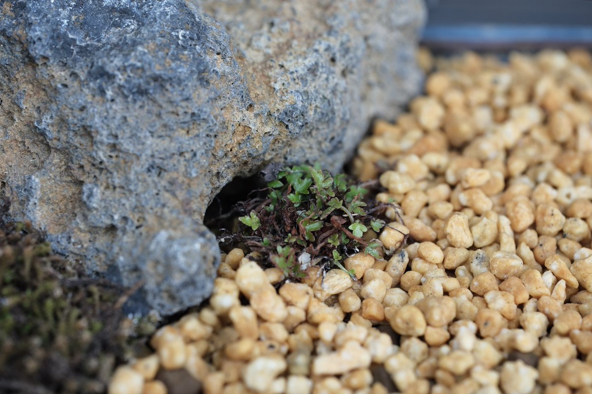 FUKUDA Toru 福田 亨 tweet media