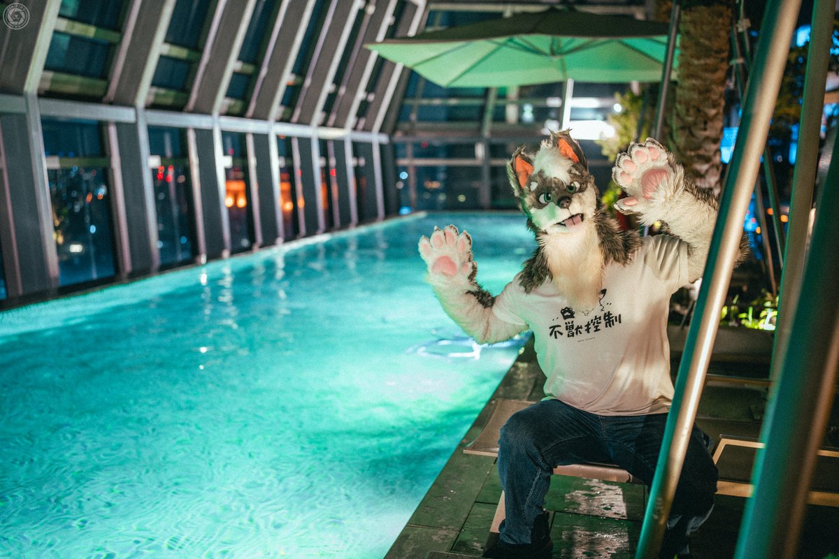 Wolfy (幼狼) tweet media