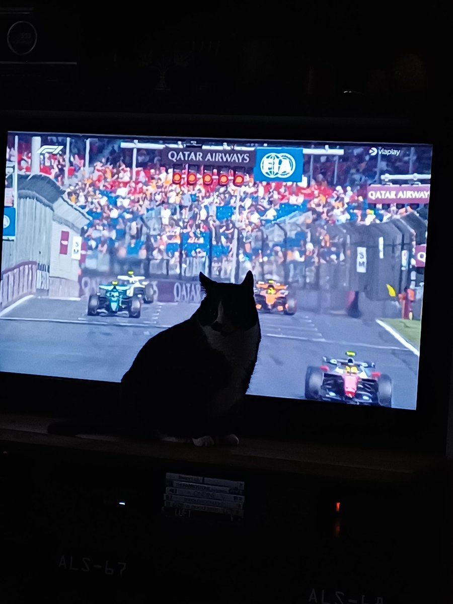 karinsaccountje's tweet image. (Pit)Poes is ook weer blij dat we begonnen zijn ...#F1 #AustralianGP #viaplay