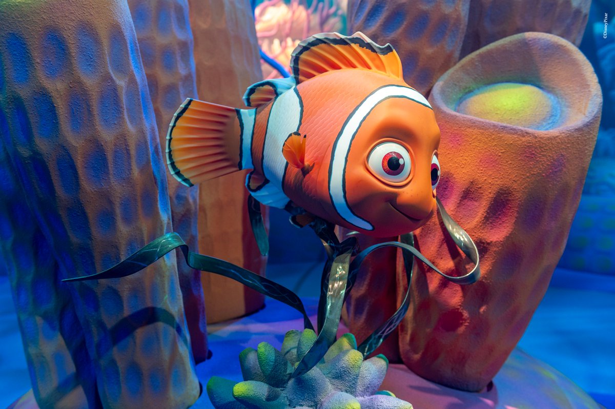 💡⌇今日3月7日は“さかなの日🐟” かわいいニモがあなたを待っています! 海の仲間たちと出会う冒険へ🐠 大人も子どもも夢中になる💞 ニモの世界 ...