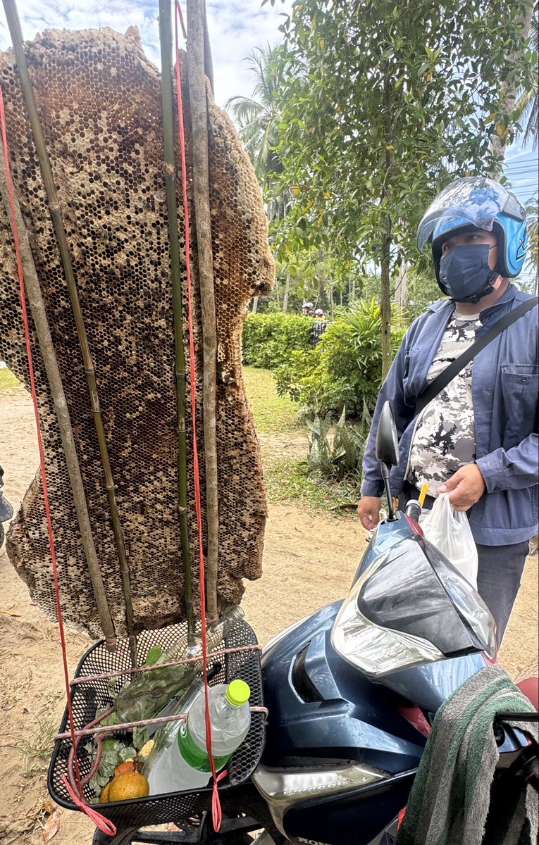 Tyler Crowley tweet media