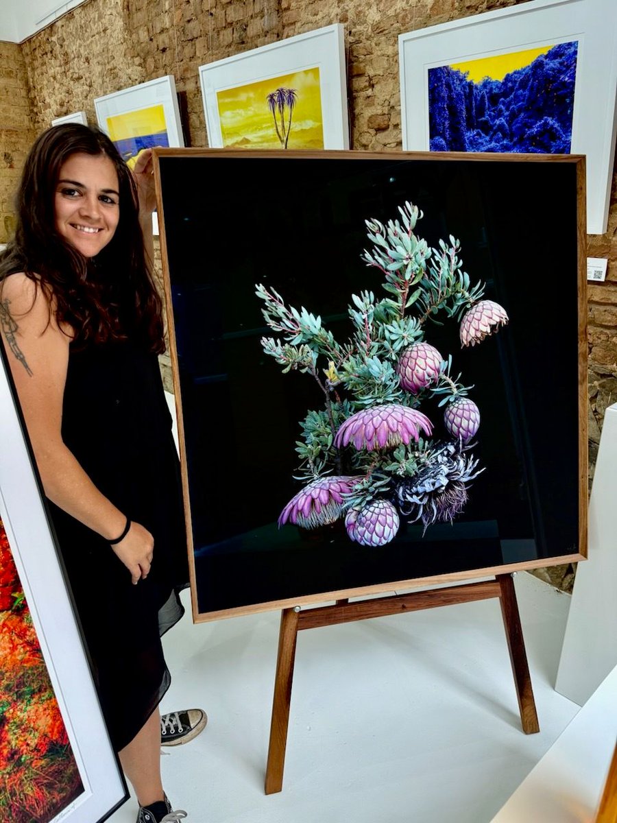 DocFilmSA tweet media