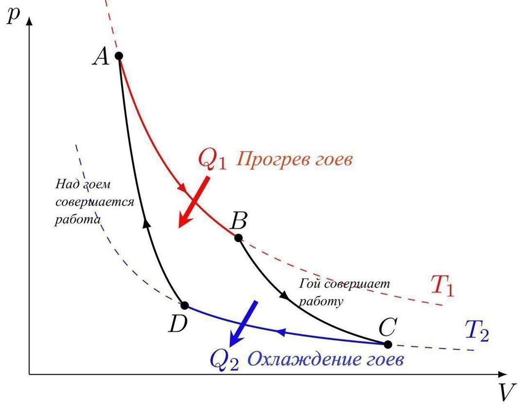 Скрëбаный сусек tweet media