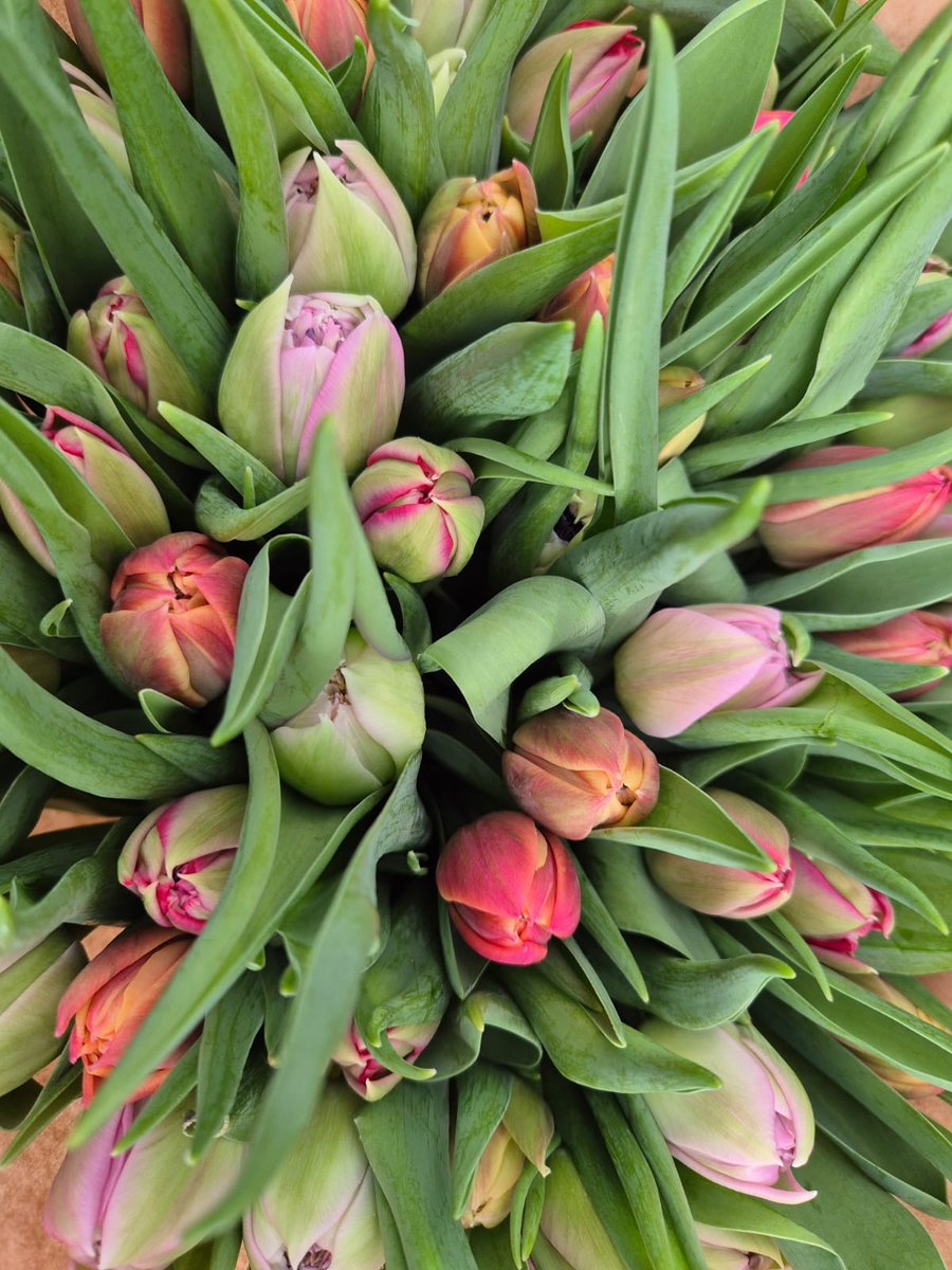 Marcel Ebbers tweet media