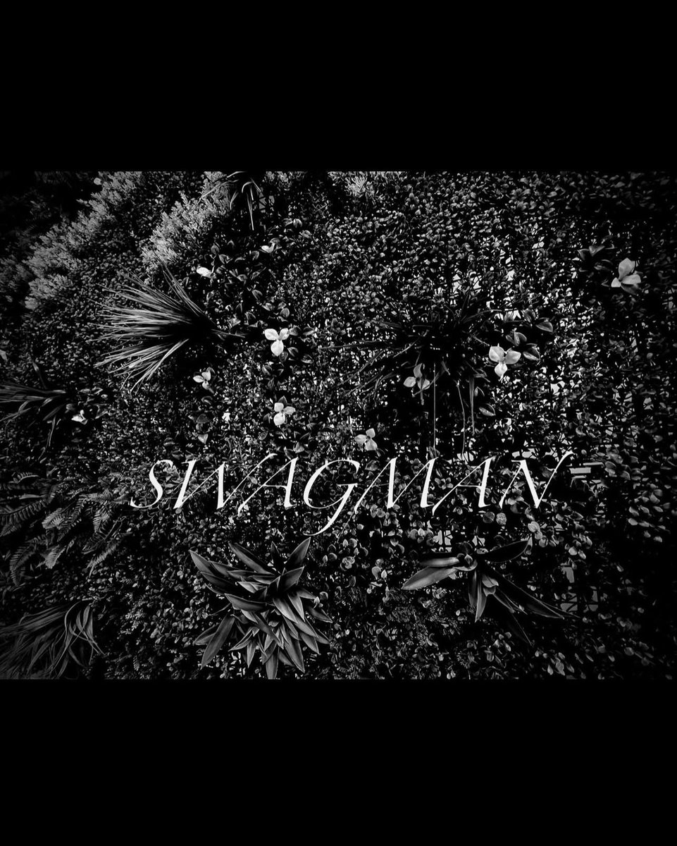 SWAGMANCRYPTO's tweet image. #swag #swagmancryto