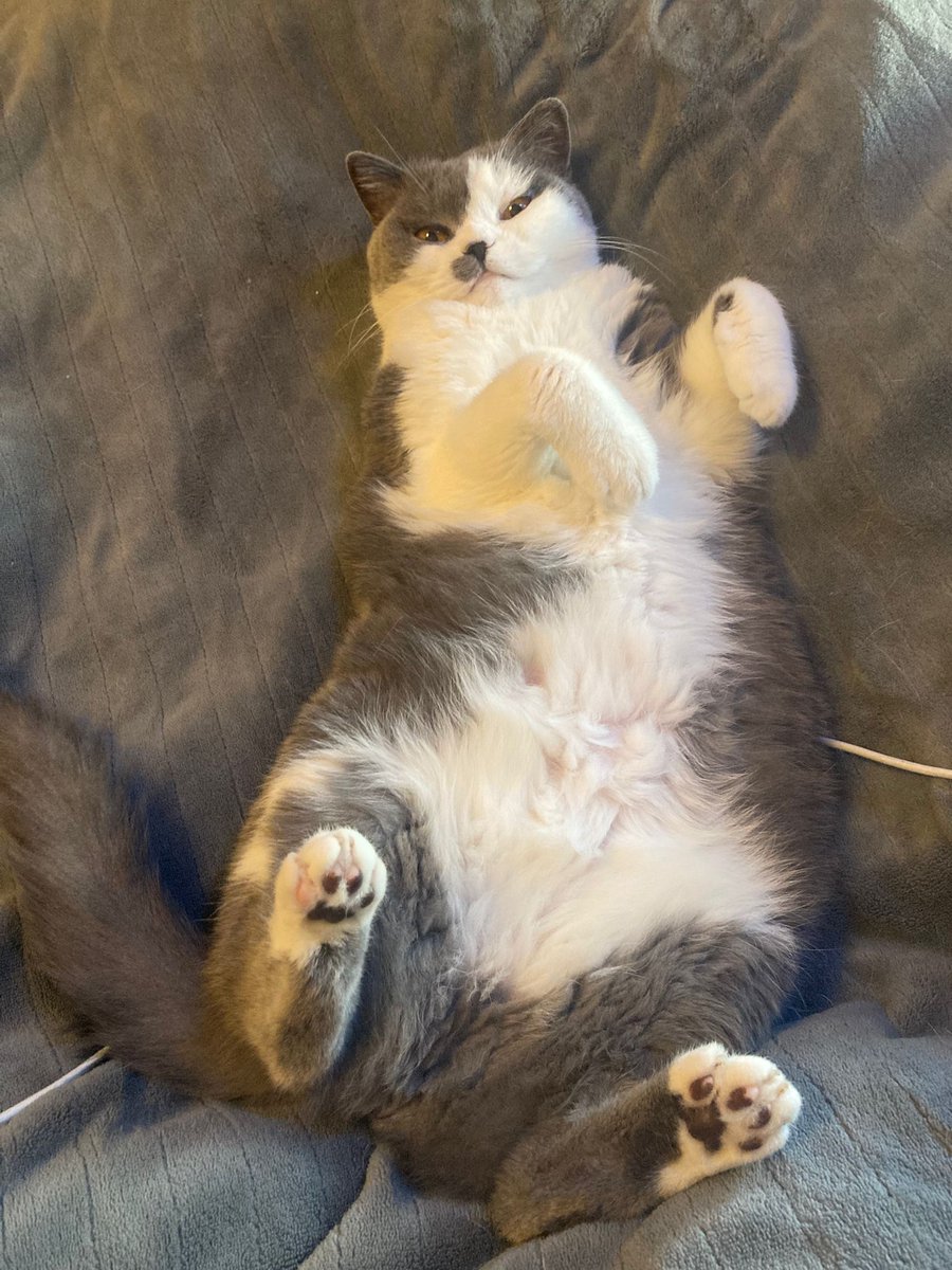 J.S. Alegre ☀️🖋️ tweet media