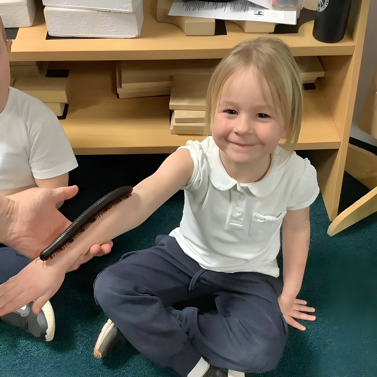 bugsnstuff.com tweet media