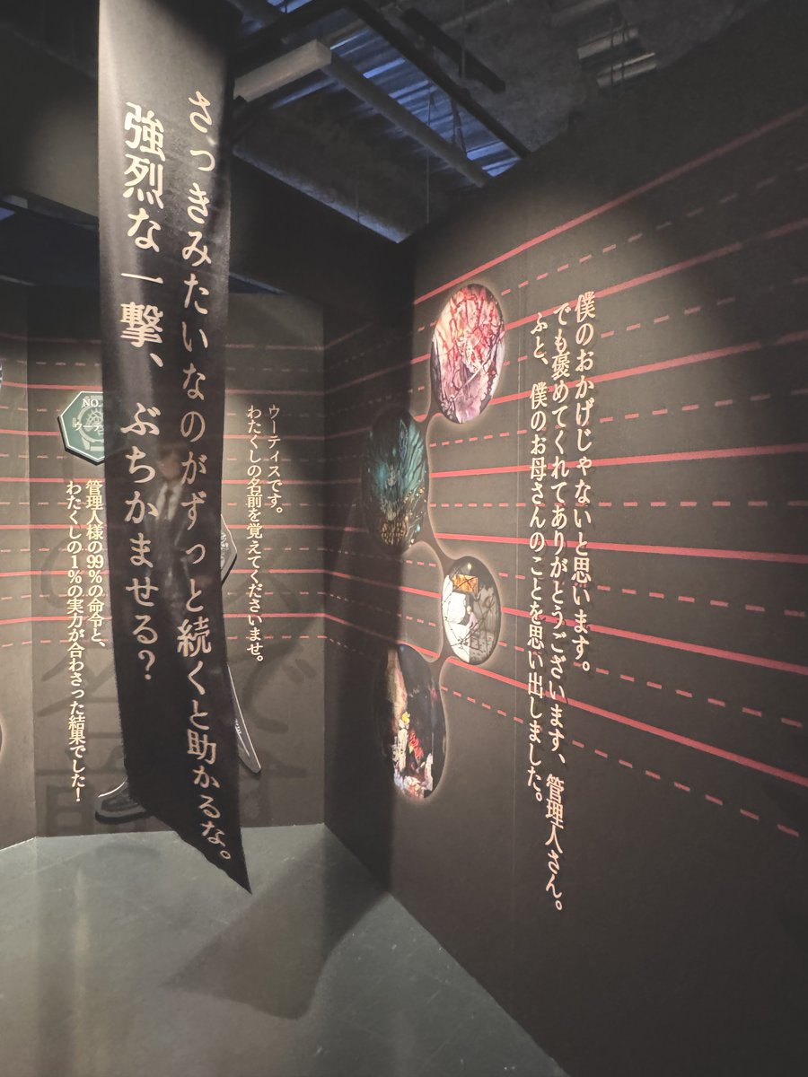 毎日面白い tweet media