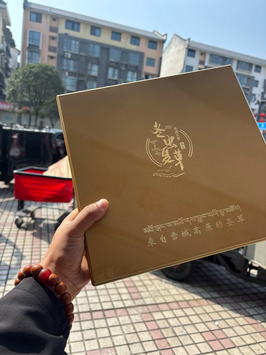 ThirteenPic's tweet photo. 很多人買到的蟲草，其實都不是高原野生。

每一根都來自海拔4500m以上雪域草原。
品相完整、草頭飽滿、紋路清晰。
不是市場普通貨，而是真正高原牧民採挖的一手蟲草。

真正的野生冬蟲夏草有幾個特徵：
✔ 蟲體環紋清晰
✔ 草頭細長
✔ 顏色自然金黃

懂的人看圖就知道。

#冬蟲夏草 #野生蟲草 #滋補 https://t.co/fqVHCOhNSr