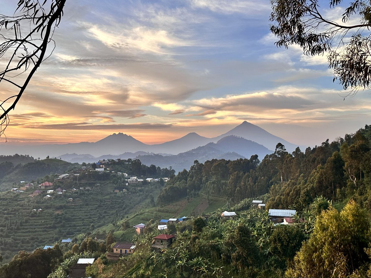 Matt Miller 🇷🇼 tweet media