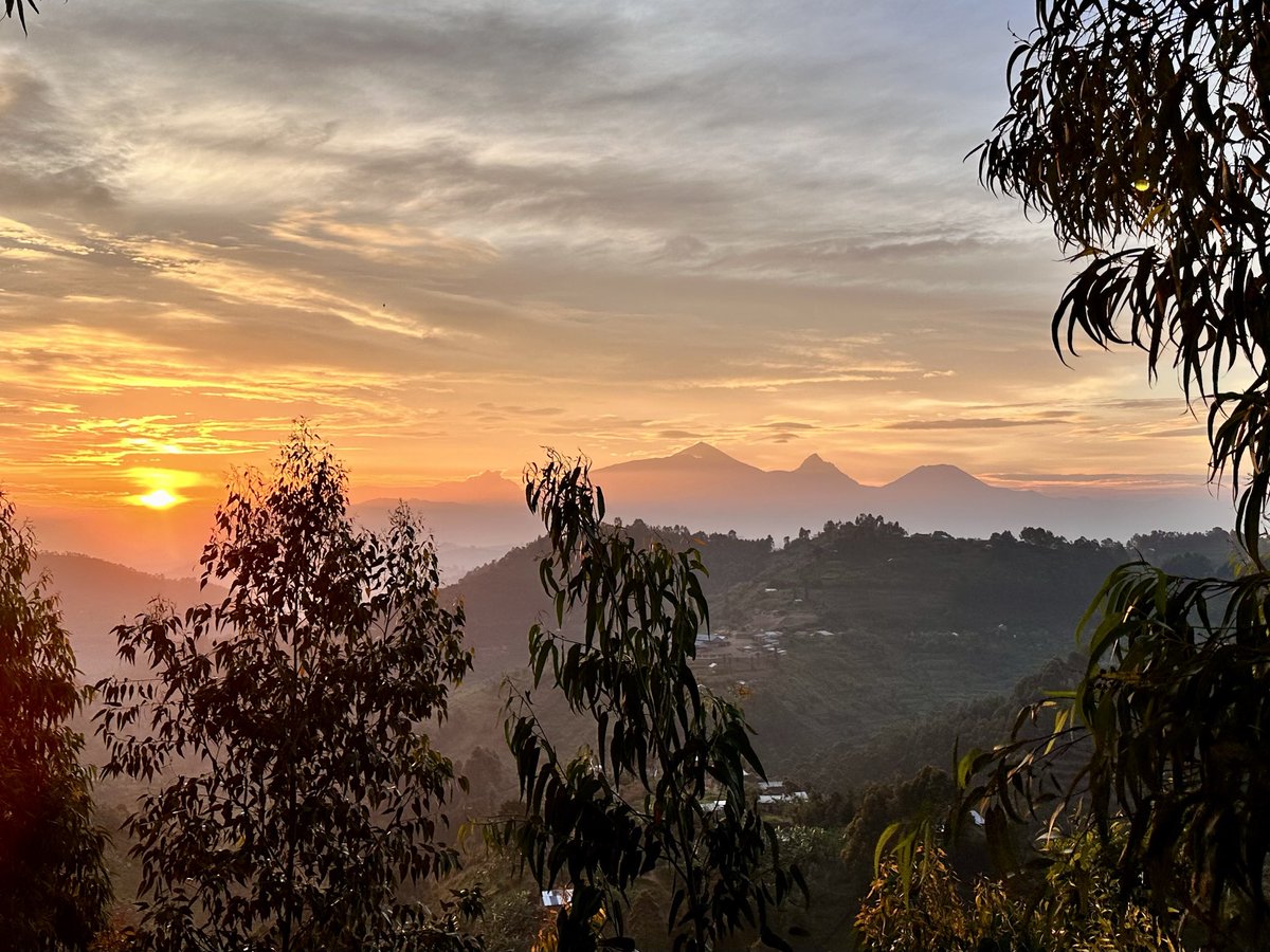 Matt Miller 🇷🇼 tweet media