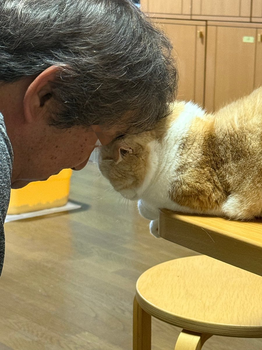 Yumi Asai tweet media