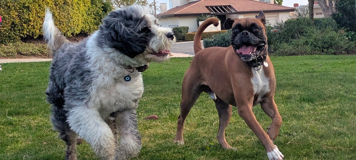 Ryan Bray tweet media