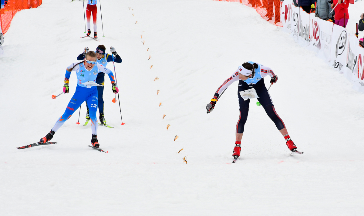 Suunnistusliitto tweet media