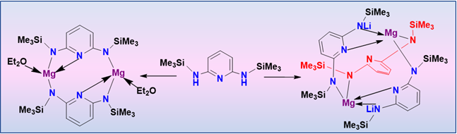 ManuGoyal30's tweet photo. New Publication alert in #InorganicaChimicaActa titled “Magnesium-bridged [3.3](2,6)Pyridinophanes: Synthesis, structure, and luminescent properties.”
Thanks to my supervisor, Prof. Sanjay Singh, and collaborator, Dr. C.P. Priyakumari for their support.
https://t.co/JvyXsMTMO6 https://t.co/Ui2umJYq0R