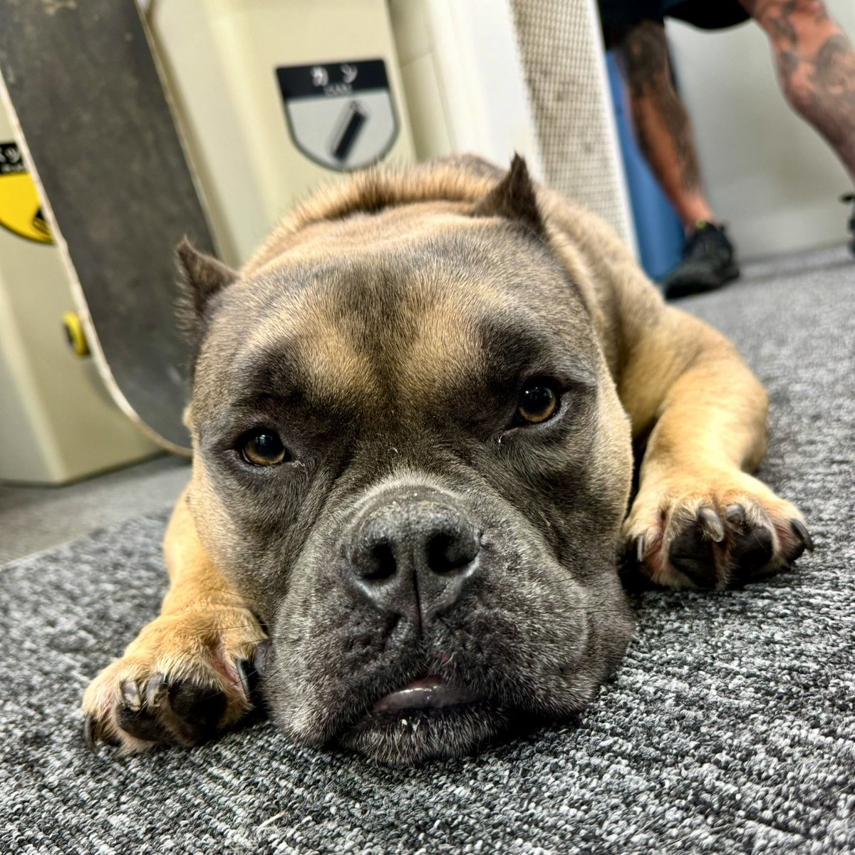 STUDIO SOKAI tweet media