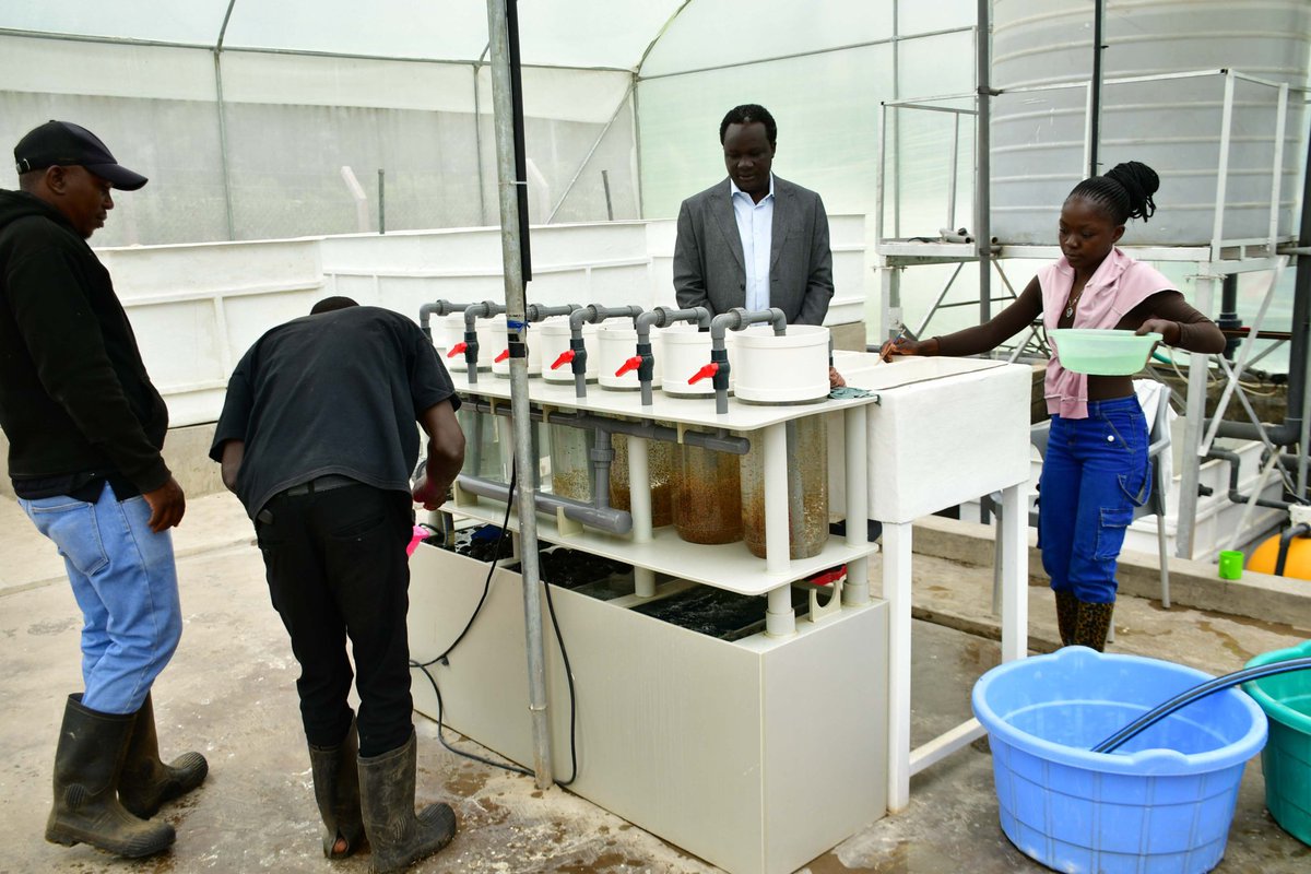 S. DARSIL254 tweet media