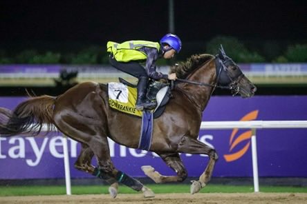 Nathan Klein tweet media