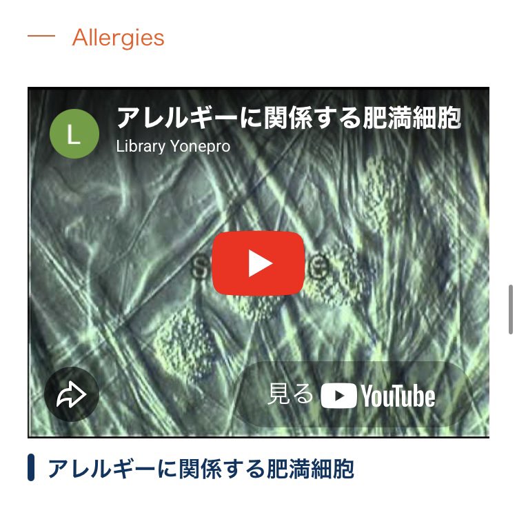 yonepro_micro's tweet photo. 肥満細胞(マスト細胞)はヒスタミンの供給源であり、この時期多くの人が悩む #花粉症 (アレルギー反応）に関係している細胞です

肥満細胞がヒスタミンなどを大量に放出する“脱顆粒”によって、 #アレルギー を引き起こします🤧

⇩ヨネ・プロダクションライブラリー⇩
https://t.co/dUWSHZIBDA https://t.co/58nEnldwVb
