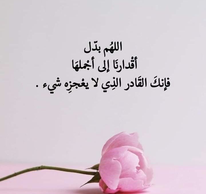 م / يوسف المقهوي (@moghwi20301) on Twitter photo 