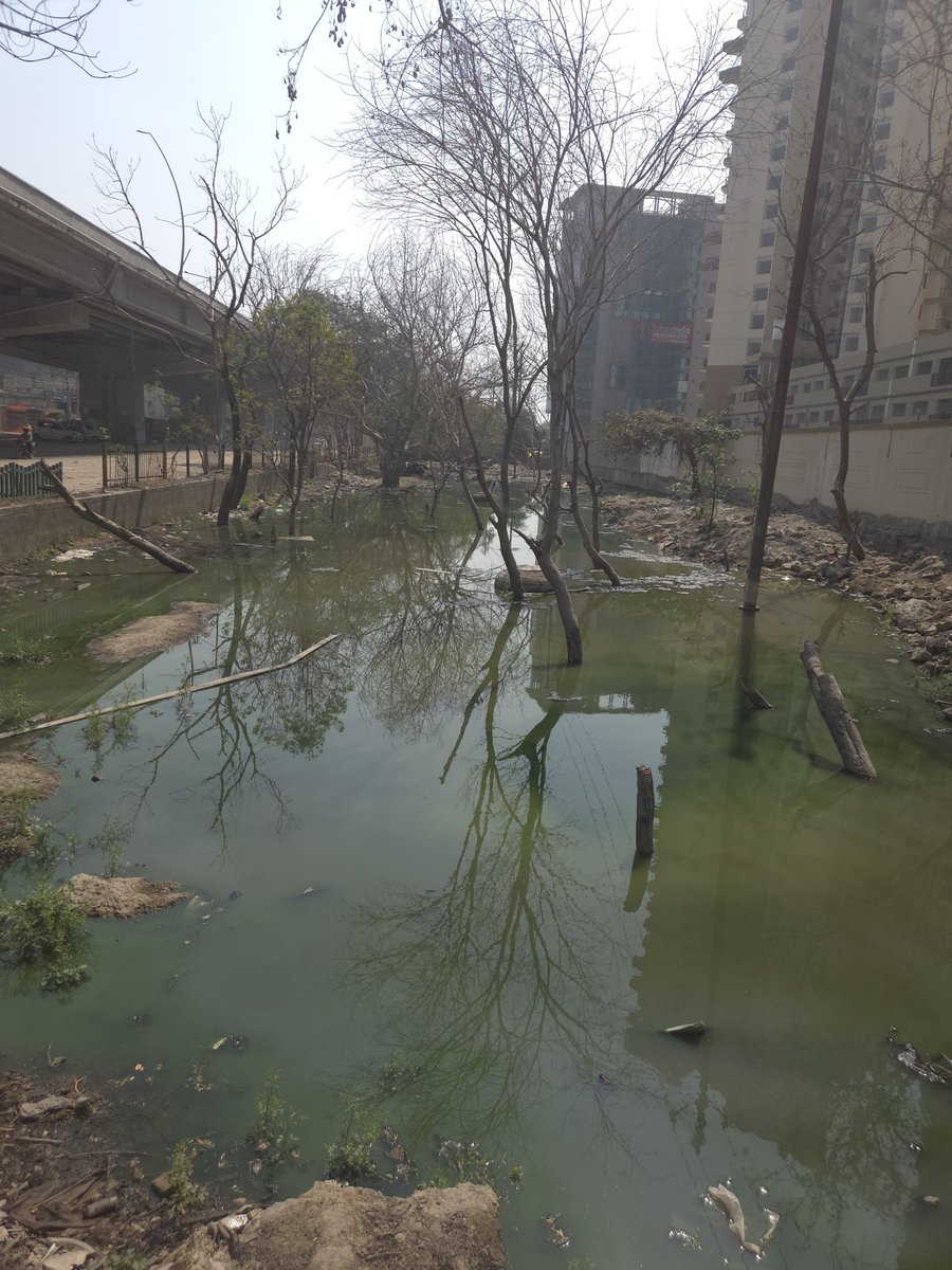 kmtyagi's tweet photo. @noida_authority @CeoNoida @UPGovt @myogioffice @myogiadityanath This has been 2 years completed and the situation is like that only. Now water has been logging continuously. Request @noida_authority @CeoNoida please look into this and do the needful. Heartbeat City Sector 107 main Dadri road. https://t.co/BcC62c1GoD