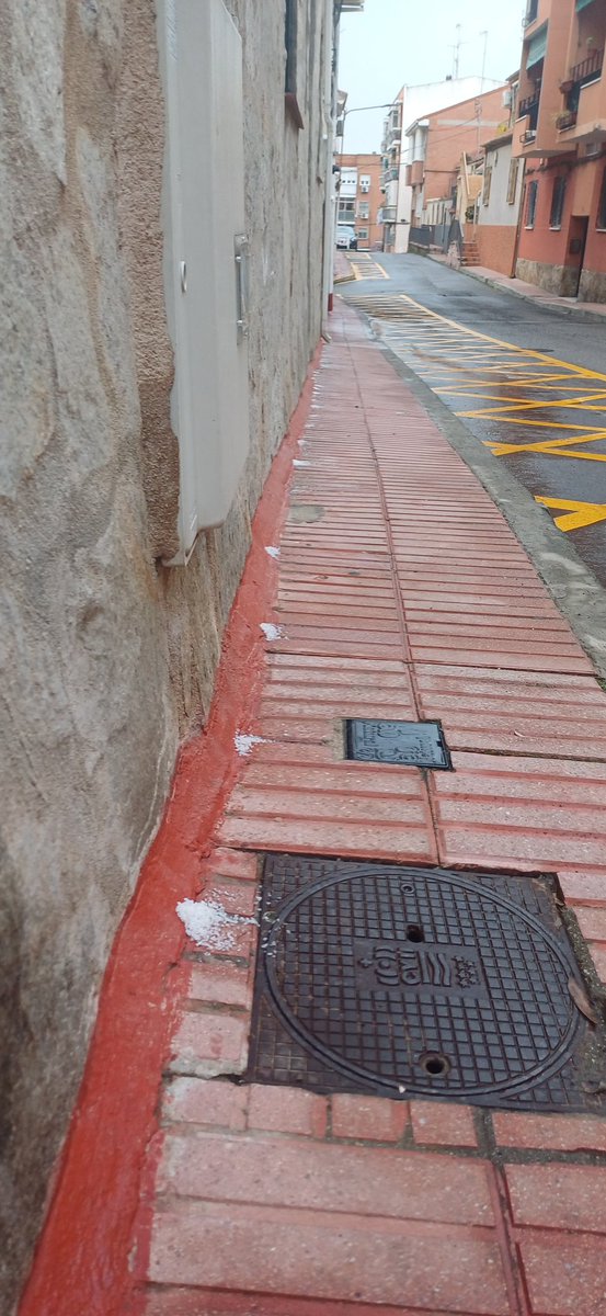 Carmen Palacios 🇵🇸 🏳️‍🌈 ❤️💛💜🔻7291 🖕🇮🇱 tweet media