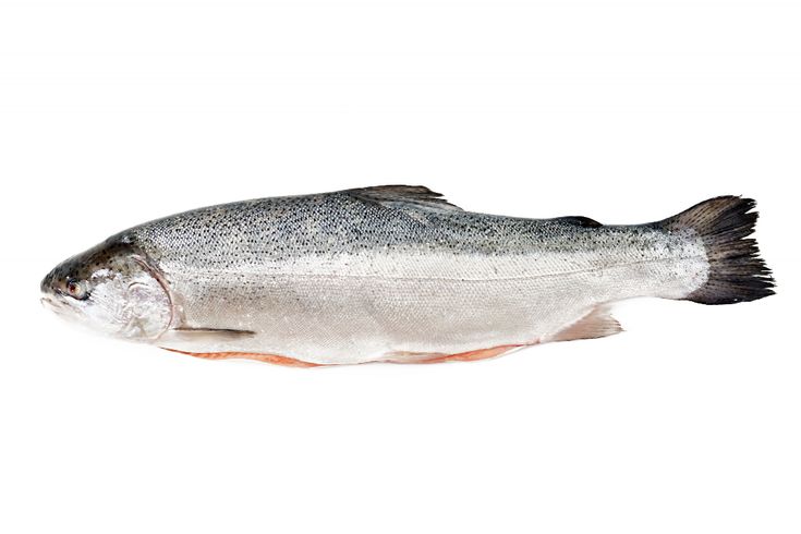 🌾 𝐄𝐫𝐢𝐤. tweet media