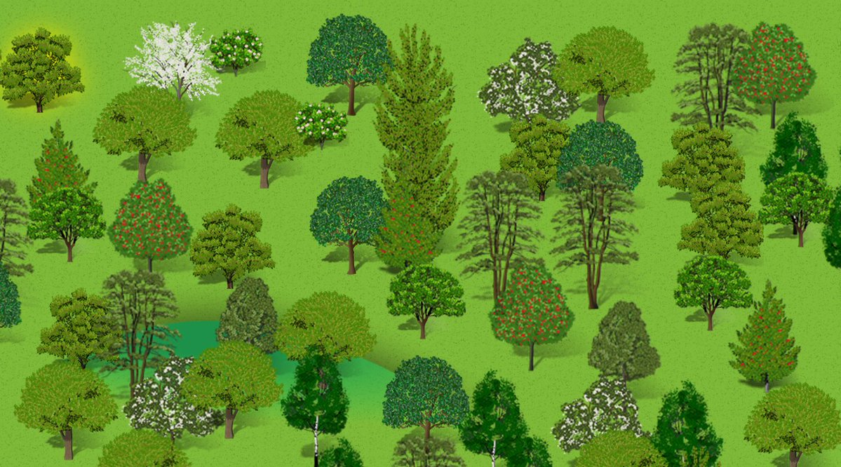 The Forest of Biologists tweet media