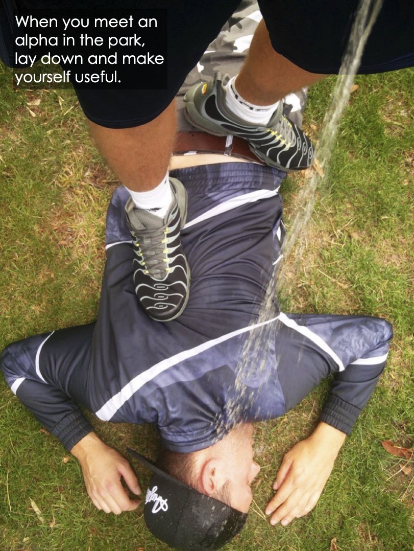 Master of Captions tweet media