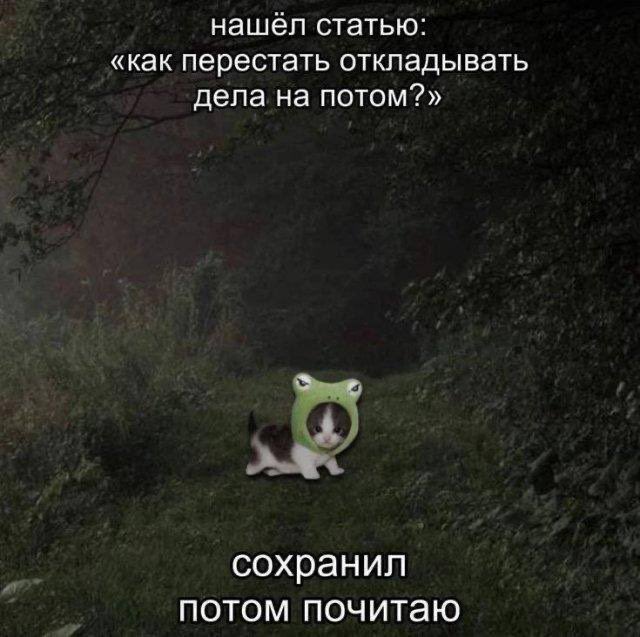 ptnhlo4vr's tweet photo. https://t.co/PCvuSVTuLq