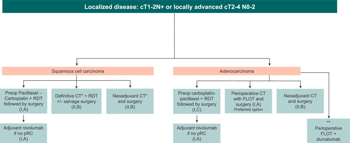 Nieves Martinez Lago MD PhD tweet media