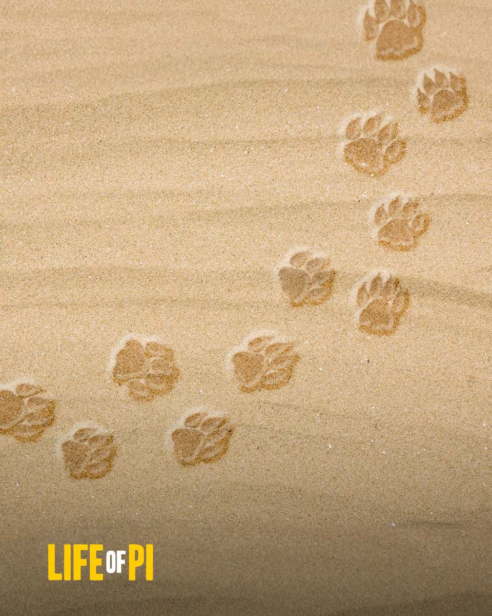 깡둥이🩵 tweet media