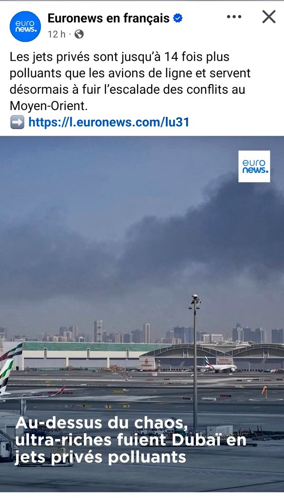 L'iguane 🦎 tweet media