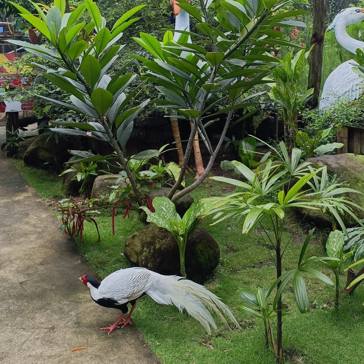 al ۫ ꣑ৎ tweet media