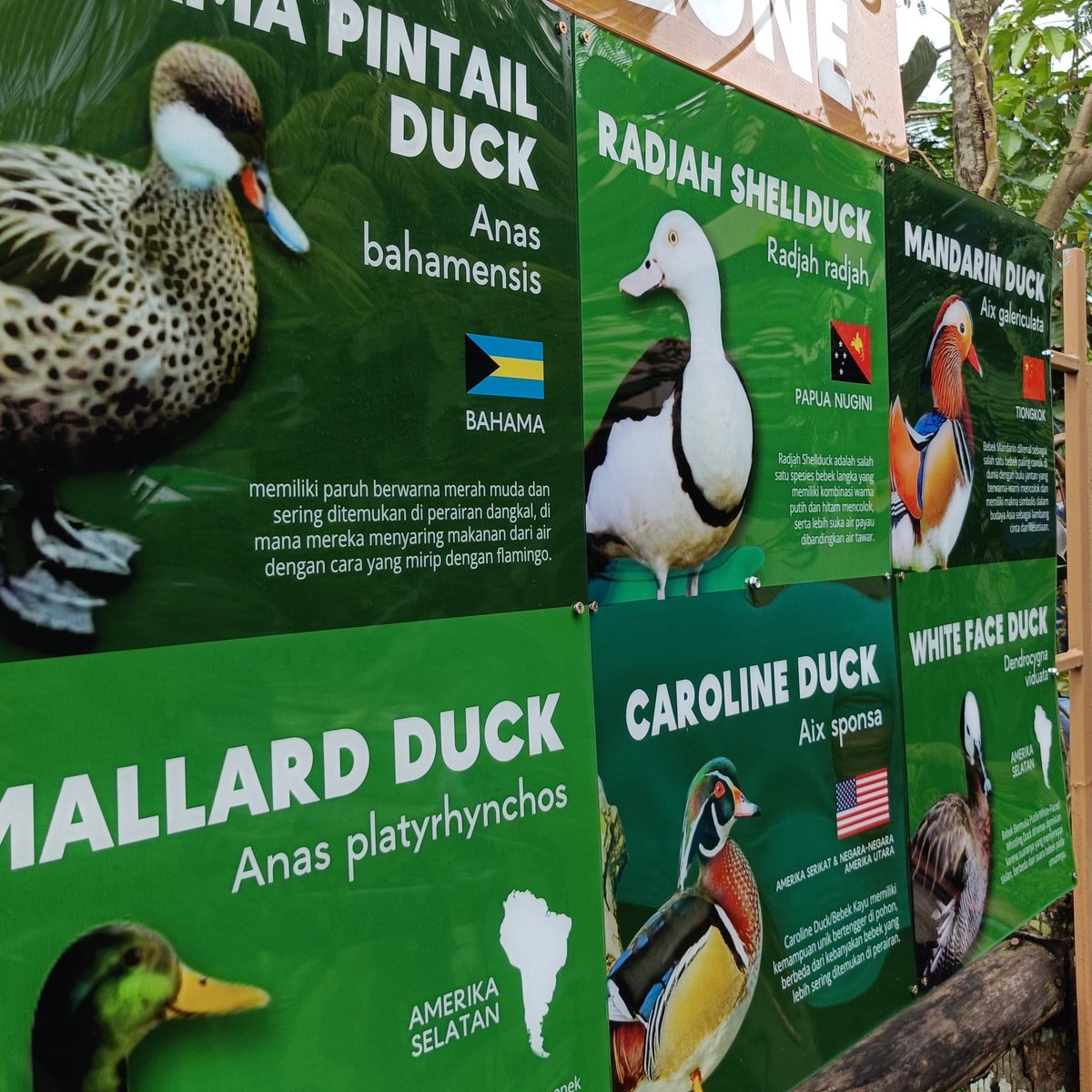 al ۫ ꣑ৎ tweet media