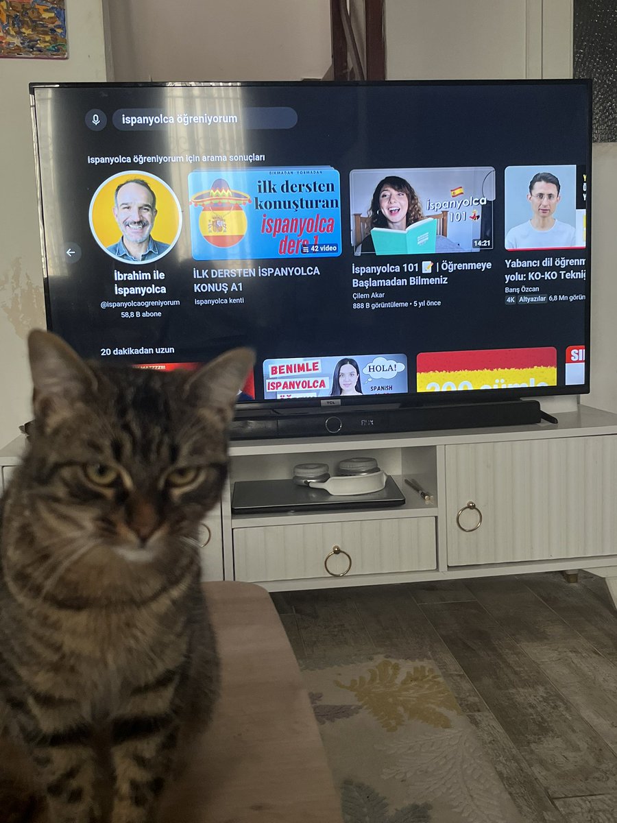 Hazırız hadi İspanyolca öğrenelim 🇹🇷🇪🇸
#EspanaTurquia