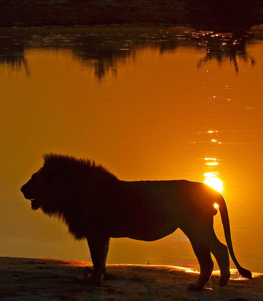 Craig Smith tweet media