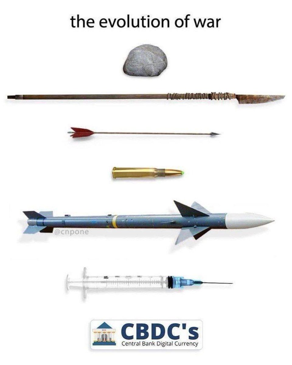 rabbitholebot tweet media