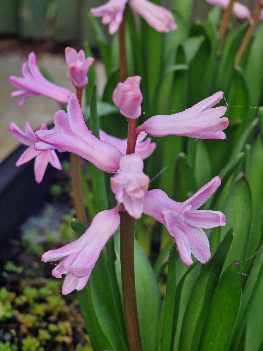 Erin Hickey tweet media