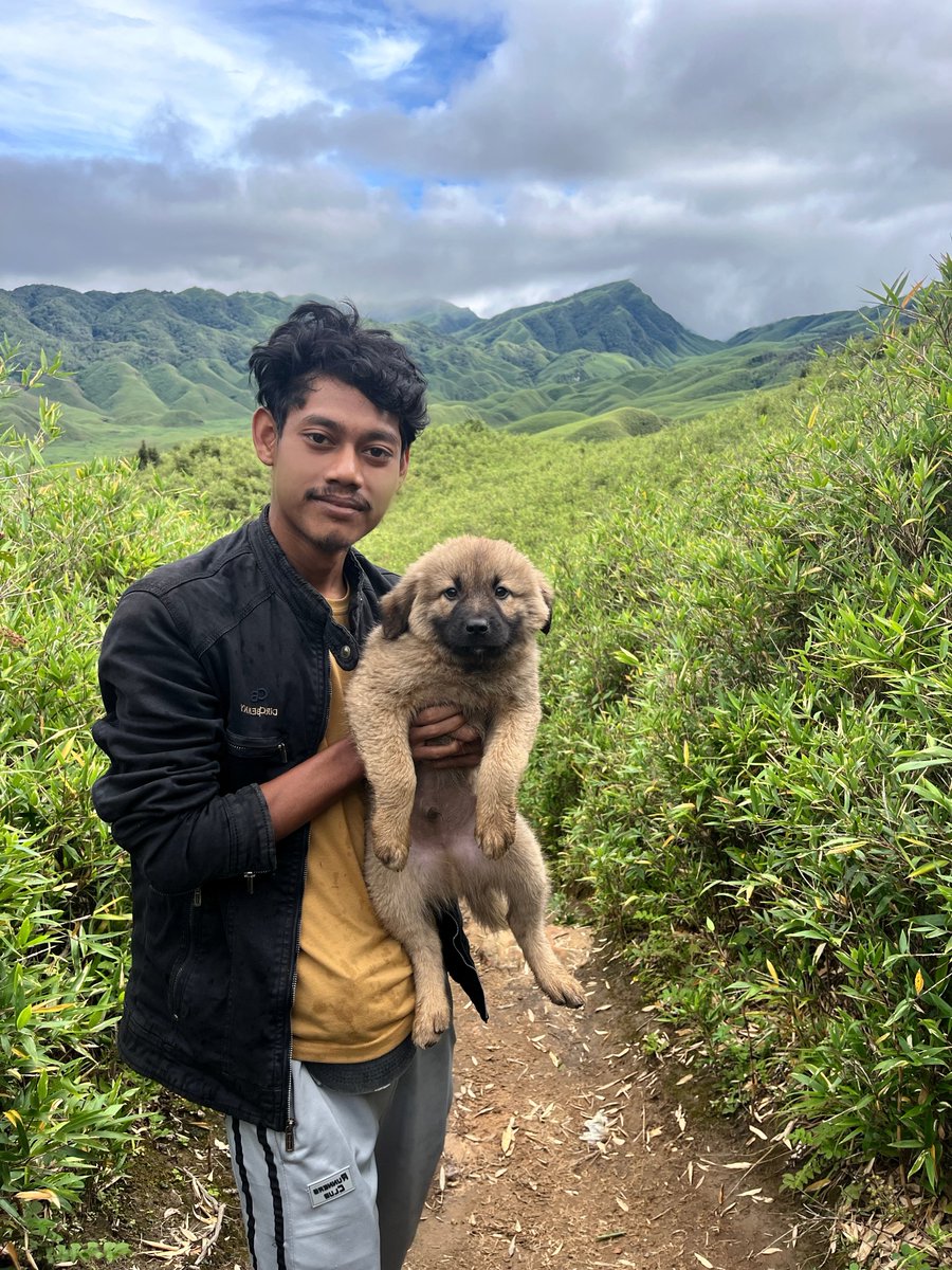 iamnabajit12's tweet photo. Dzuko Valley,Nagaland 🇮🇳📍
#India #Nagaland https://t.co/HDpHaXxwT1
