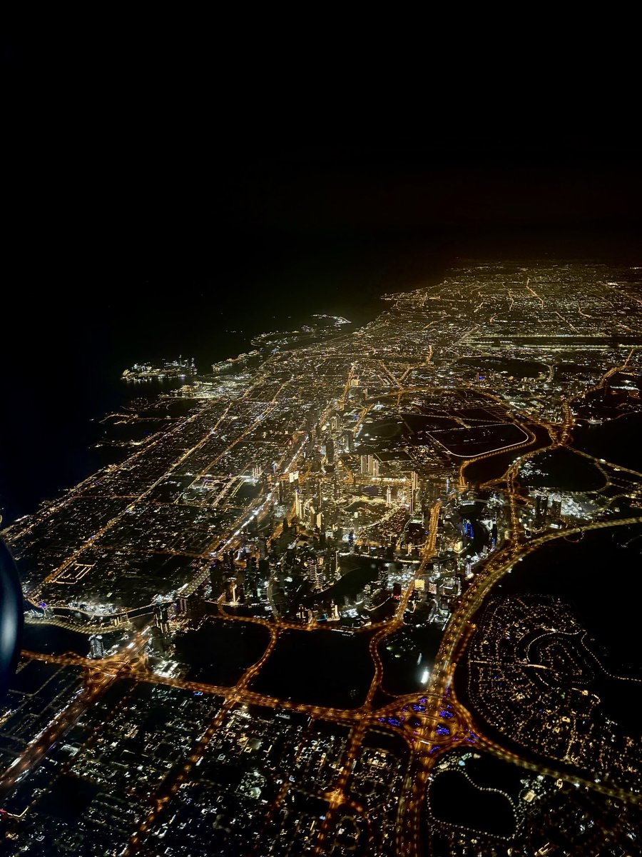 дубайский летчик tweet media