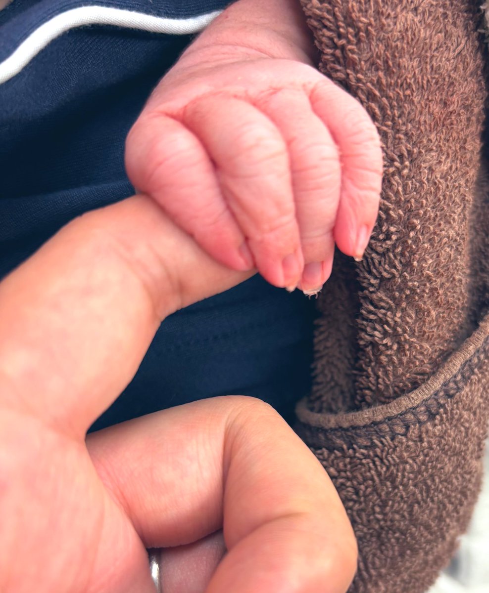 𝓝𝔂𝓪𝓷𝓝𝔂𝓪𝓷𝓒𝓱@育児休暇中 tweet media